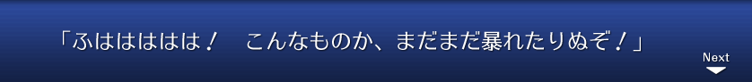 「ふははははは！　こんなものか、まだまだ暴れたりぬぞ！」